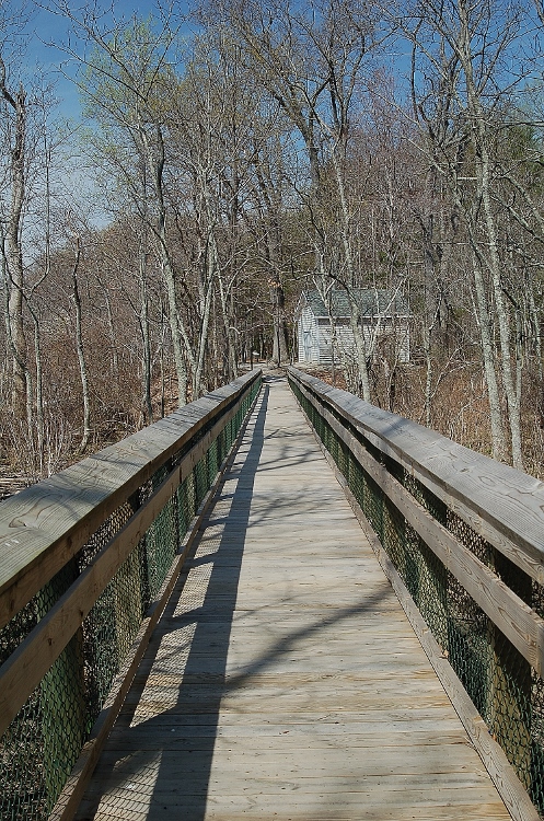 park boardwalk